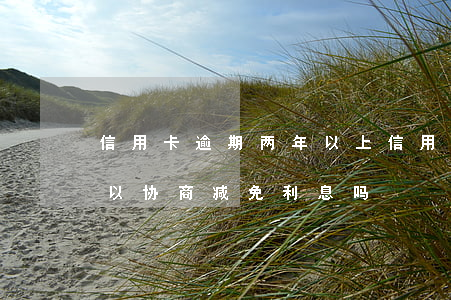 信用卡逾期两年以上(信用卡逾期两年以上可以协商减免利息吗?)