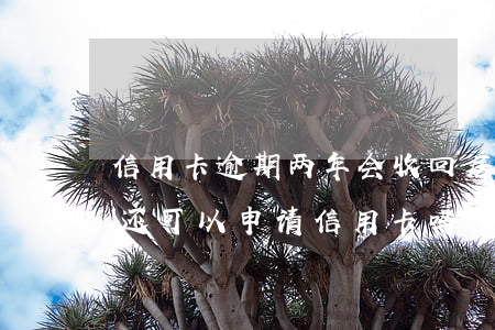 信用卡逾期两年会收回房子吗 两年前有逾期还可以申请信用卡吗