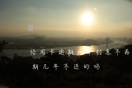 信用卡逾期两年利息不再增加了(有信用卡逾期几年不还的吗)