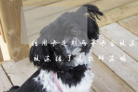 信用卡逾期两年卡会被冻结吗(因逾期信用卡被冻结了还能解冻吗)