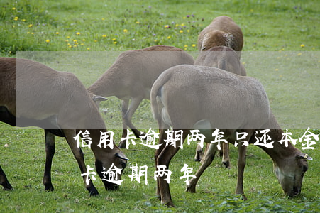 信用卡逾期两年只还本金就可以吗-欠信用卡逾期两年