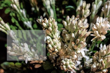 信用卡逾期两年后冻结了还能用吗(逾期一年的信用卡还能解冻吗)