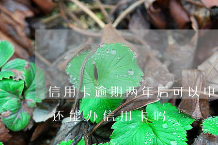 信用卡逾期两年后可以申请房贷吗(逾期两年还能办信用卡吗)