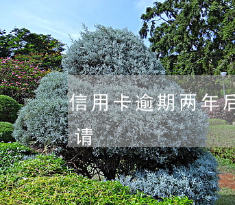 信用卡逾期两年后申请(信用卡逾期两年后申请)