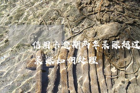 信用卡逾期两年呆账(超过十年以上的信用卡呆账如何处理)