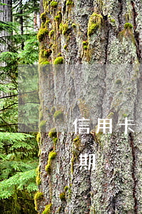 信用卡逾期两年未归还(信用卡2天没还算逾期)
