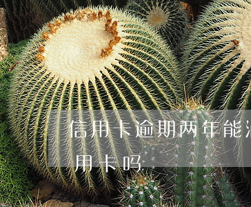 信用卡逾期两年能消除吗(逾期两年还能办信用卡吗)