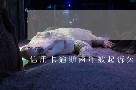 信用卡逾期两年被起诉(欠信用卡逾期被起诉)