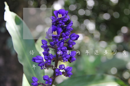 信用卡逾期两年还多少 有没有信用卡逾期两年以上的