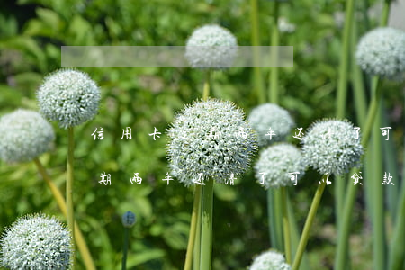 信用卡逾期两年还清了可以贷款-信用卡逾期两年还清了可以贷款买房吗