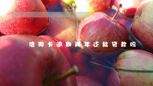信用卡逾期两年还能贷款吗