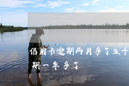 信用卡逾期两月多了五千多(信用卡4千多逾期一年多了)