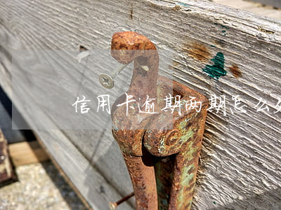 信用卡逾期两期怎么处理 信用卡 逾期 两天