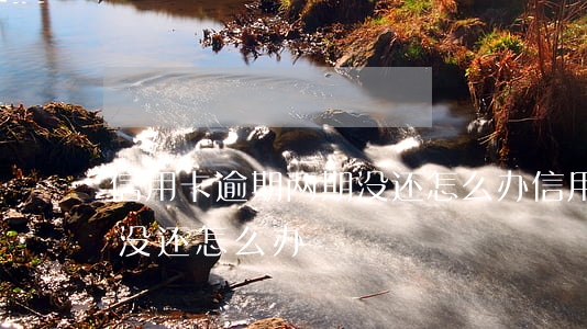 信用卡逾期两期没还怎么办(信用卡逾期两期没还怎么办)