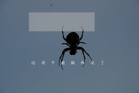 信用卡逾期两次了