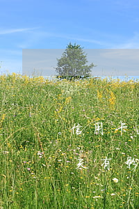 信用卡逾期两次会影响什么(信用卡逾期了两天有影响吗)