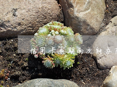 信用卡逾期两次能办商务卡吗
