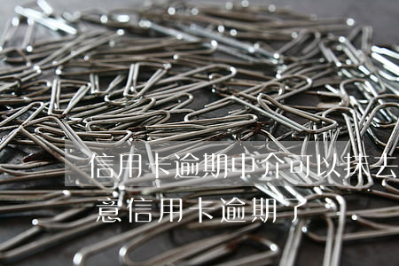 信用卡逾期中介可以抹去嗎 沒(méi)注意信用卡逾期了