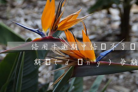 信用卡逾期中信帶不了嗎(我的中信信用卡逾期,當(dāng)每期都在還,有事嗎)