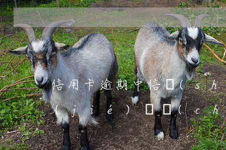 信用卡逾期中信說(shuō)要起訴凍結(jié)資產(chǎn) 征信有逾期信用卡被凍結(jié)