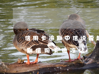 信用卡逾期中信说要起诉冻结资产 征信有逾期信用卡被冻结