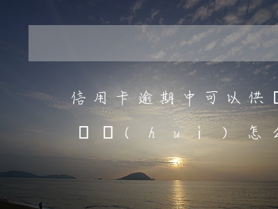 信用卡逾期中可以供車嗎(信用卡逾期名下的車會(huì)怎么樣)
