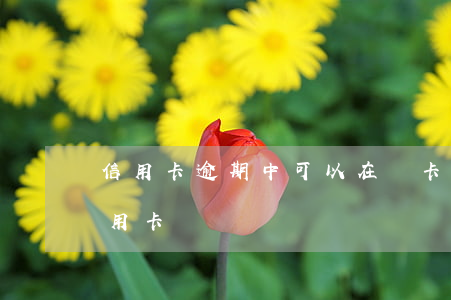 信用卡逾期中可以在辦卡(有逾期可以辦理信用卡嗎?)