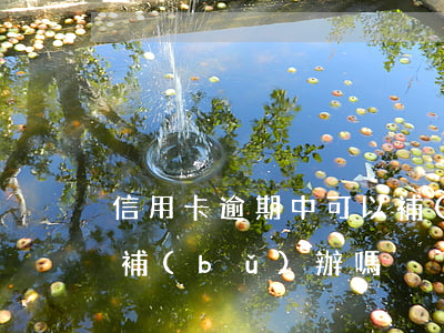 信用卡逾期中可以補(bǔ)卡嗎(信用卡能補(bǔ)辦嗎)