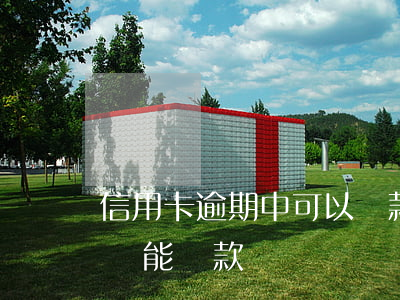 信用卡逾期中可以貸款嗎(信用卡逾期中哪里還能貸款)