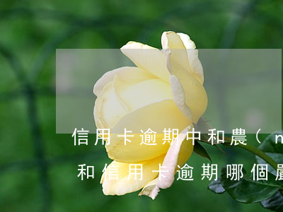信用卡逾期 中和農(nóng)信(貸款逾期和信用卡逾期 哪個嚴(yán)重)