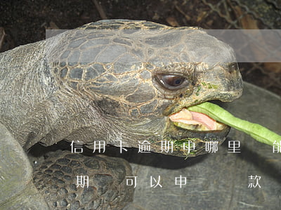 信用卡逾期中哪里還能貸款(如果有信用卡逾期還可以申請貸款嗎)