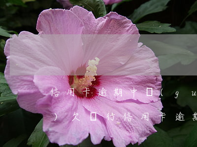 信用卡逾期中國(guó)銀聯(lián)(欠銀行信用卡逾期)