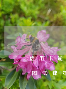 信用卡逾期中國法律第57條(信用卡逾期中國法律第57條)