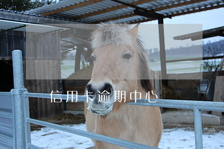 信用卡逾期中心