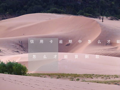 信用卡逾期中怎么才能貸到款(信用卡逾期中怎么才能貸到款)