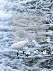 信用卡逾期中怎么申请临时额度(申请调高的临时信用额度几天内有效)
