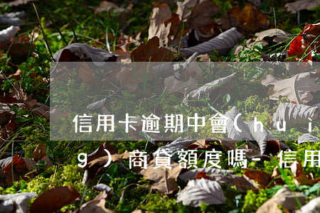 信用卡逾期中會(huì)影響網(wǎng)商貸額度嗎-信用卡逾期中會(huì)影響網(wǎng)商貸額度嗎知乎