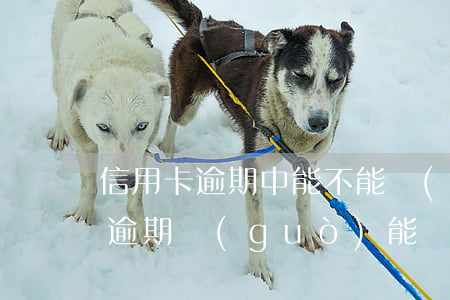 信用卡逾期中能不能車(chē)貸(信用卡逾期過(guò)能辦車(chē)貸嗎)