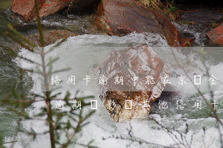 信用卡逾期中能在京東金融借錢嗎(京東金融逾期會影響其他信用卡嗎)