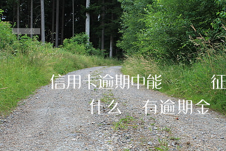 信用卡逾期中能銷戶嗎 征信上信用卡顯示銷戶為什么還有逾期金額