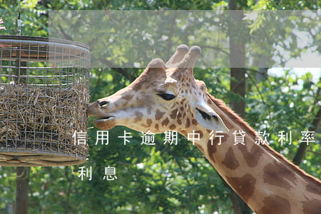 信用卡逾期中行貸款利率(各銀行信用卡逾期利息)