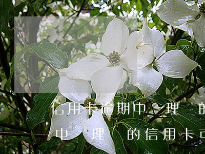 信用卡逾期中辦理別的信用卡-信用卡逾期中辦理別的信用卡可以嗎