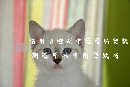 信用卡逾期中还可以贷款吗(如果有信用卡逾期还可以申请贷款吗)