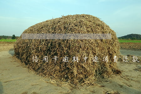 信用卡逾期中途消费还款