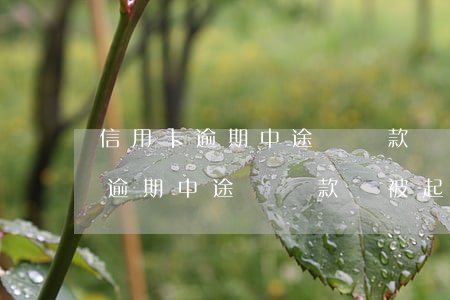 信用卡逾期中途還過款會被起訴嘛-信用卡逾期中途還過款會被起訴嘛怎么辦