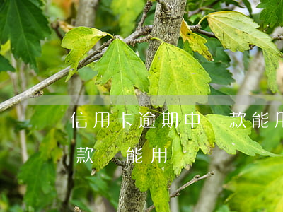 信用卡逾期中還款能用嗎(信用卡逾期后還完款還能用嗎)