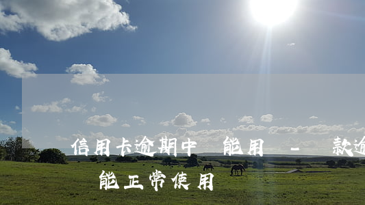 信用卡逾期中還能用嗎-貸款逾期了信用卡還能正常使用嗎