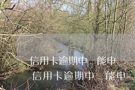 信用卡逾期中還能申請網(wǎng)貸嗎(信用卡逾期中還能申請網(wǎng)貸嗎)