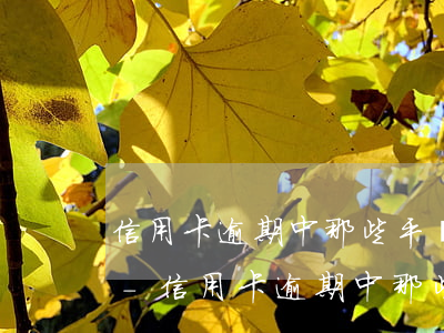 信用卡逾期中那些平臺(tái)可以貸款-信用卡逾期中那些平臺(tái)可以貸款嗎