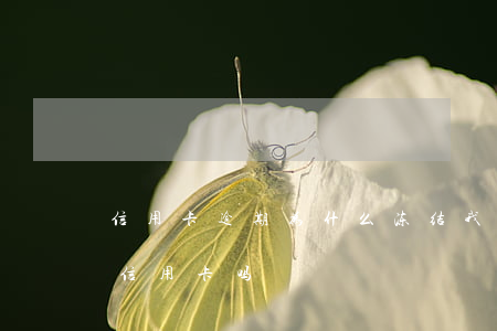 信用卡逾期为什么冻结我储蓄卡(逾期会冻结信用卡吗)